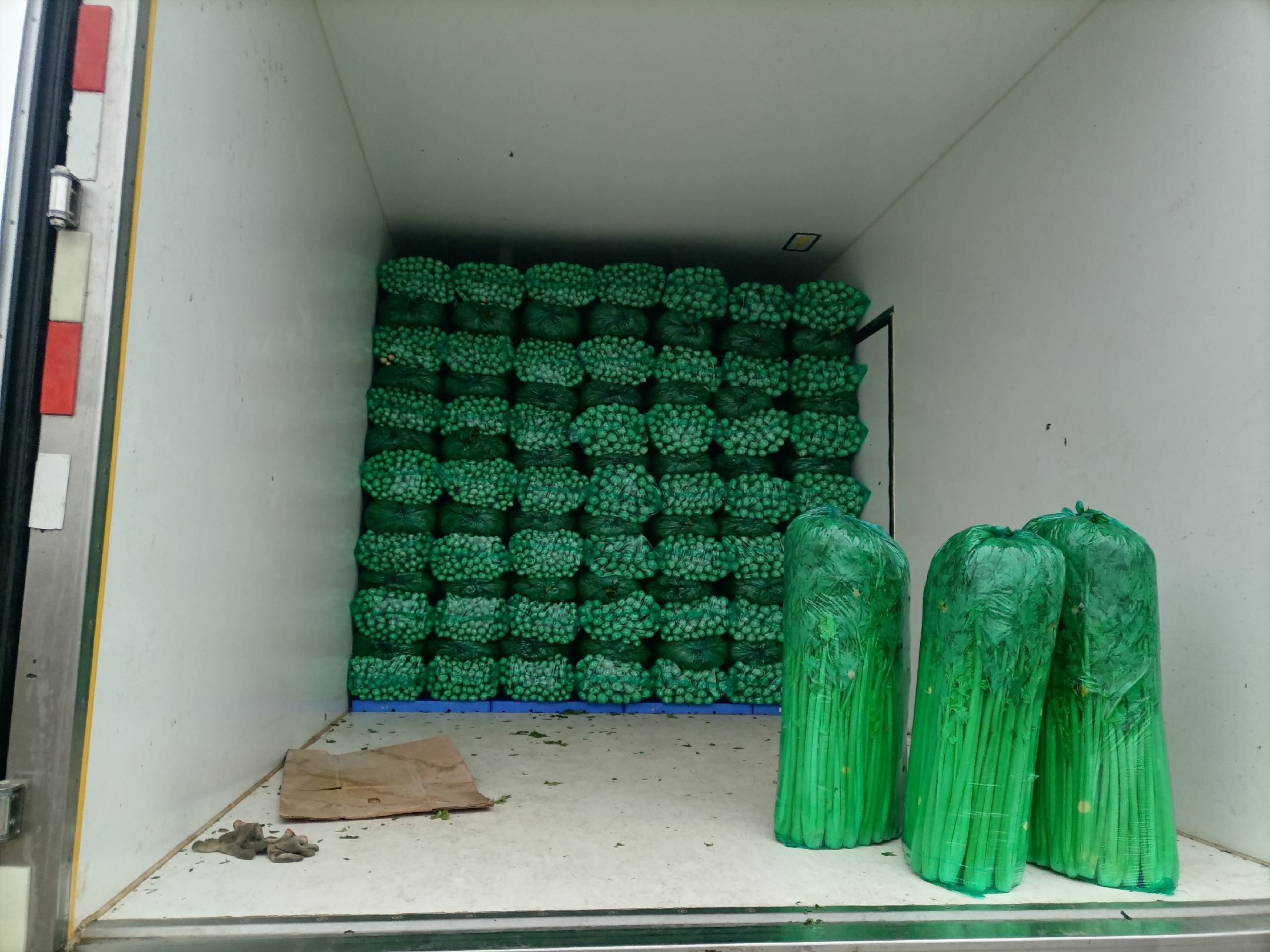 京脆一号西芹多场景包装展示:左侧为北京物美超市冷柜陈列,透明托盘装280g净菜,标签注明'西芹·京脆一号';右侧为京东生鲜自营页面截图,真空微孔保鲜袋装300g,附带二维码溯源信息;背景可见分拣线上工人正进行自动称重与贴标,体现工业化分装流程 京脆一号西芹在商超与电商包装对比图