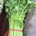 【芹菜】河南皇后芹菜，基地直供，货源充足，可视频看货