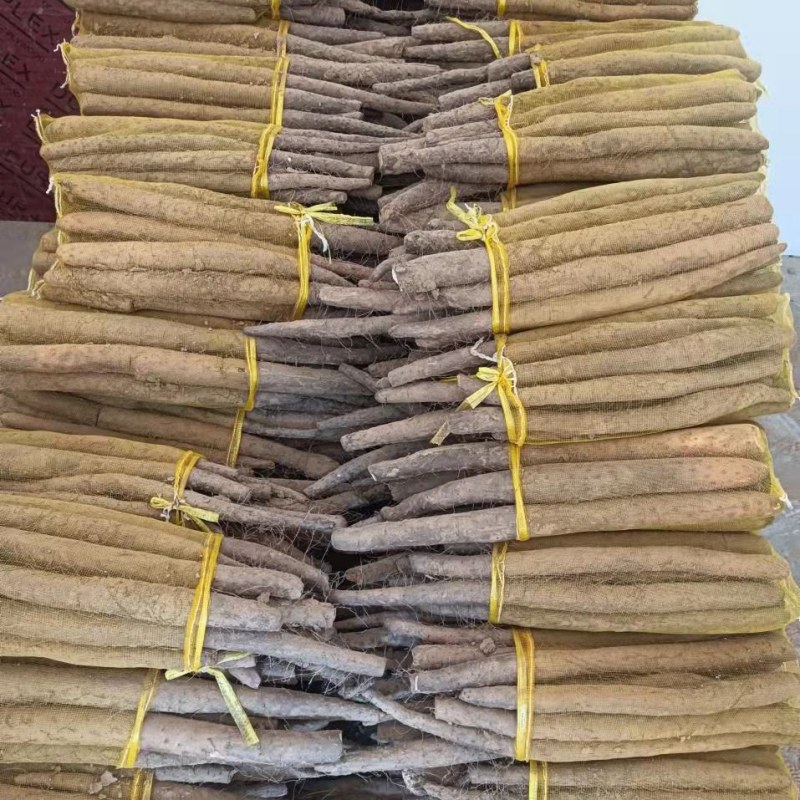 大名县精品网袋山药