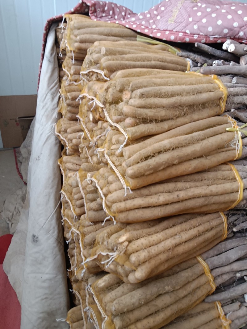 大名县精品网袋山药