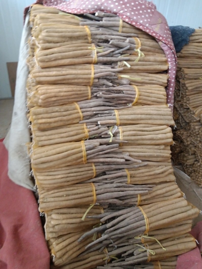 大名县精品网袋山药
