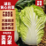 白菜，产地直发，量大从优，价格随行就市，货源充足