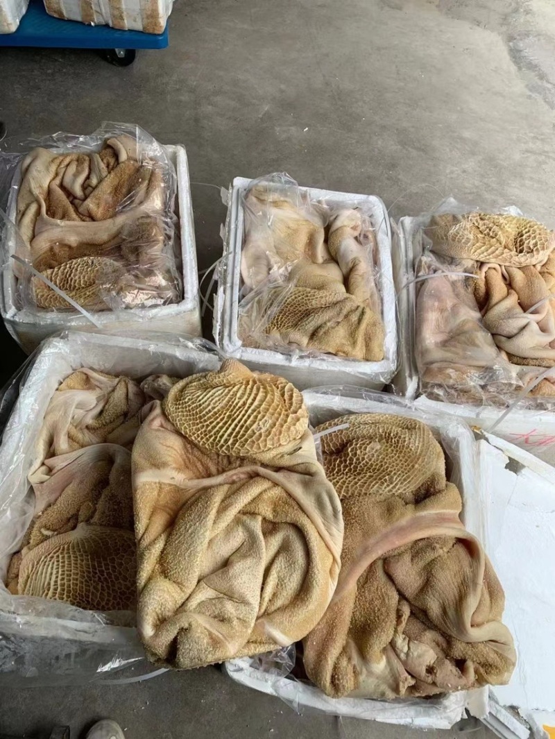 飞水牛大肚干水