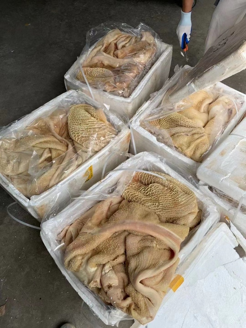 飞水牛大肚干水