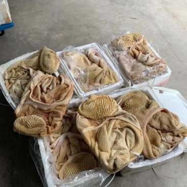 飞水牛大肚干水