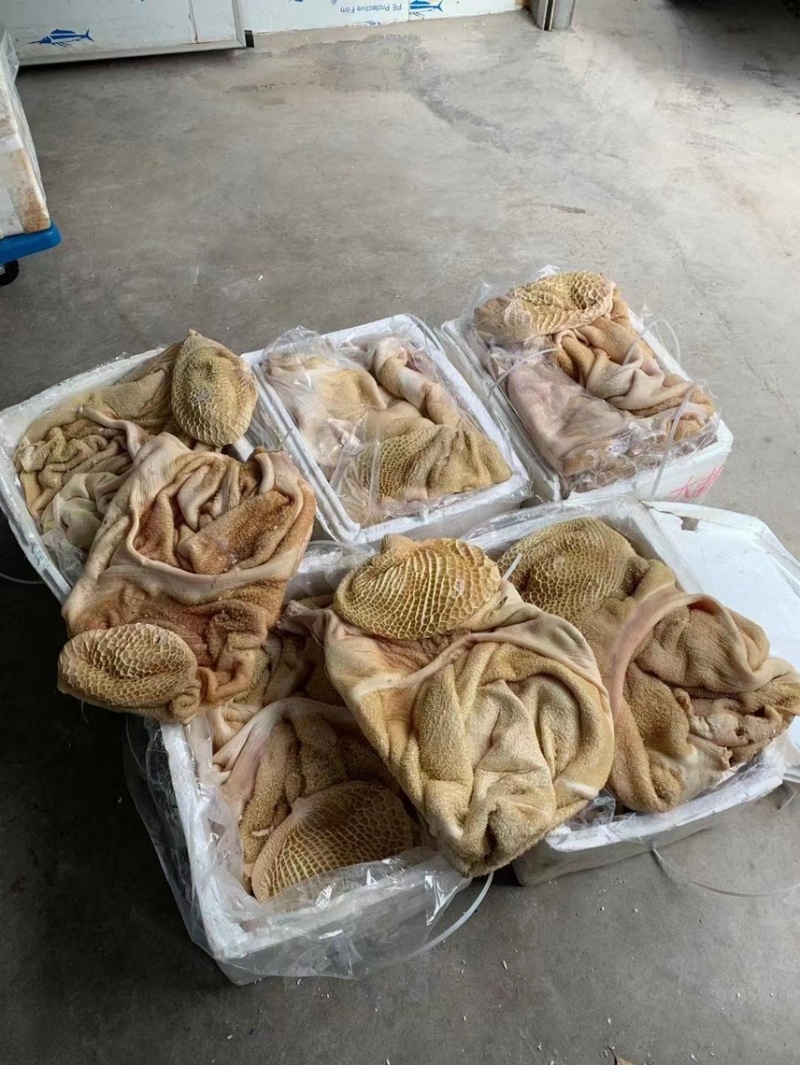飞水牛大肚干水