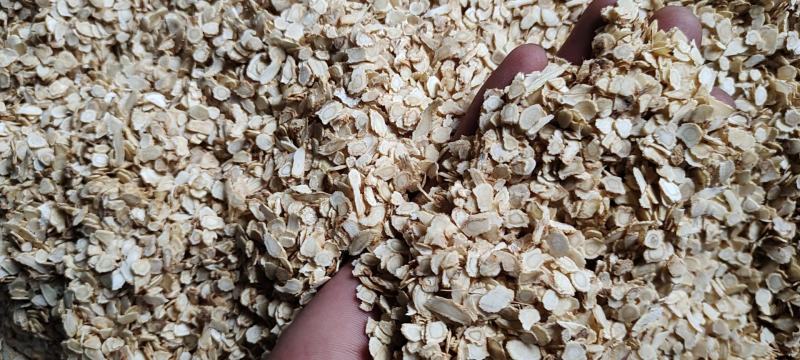 【特价】西洋参软支小片经济实惠规格齐全产地批发