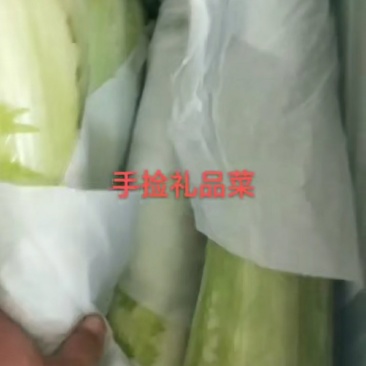 精品绍菜