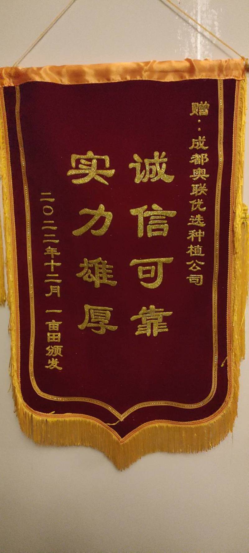 白萝卜