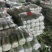 山东省泗水北京新三号白菜大量现货供应