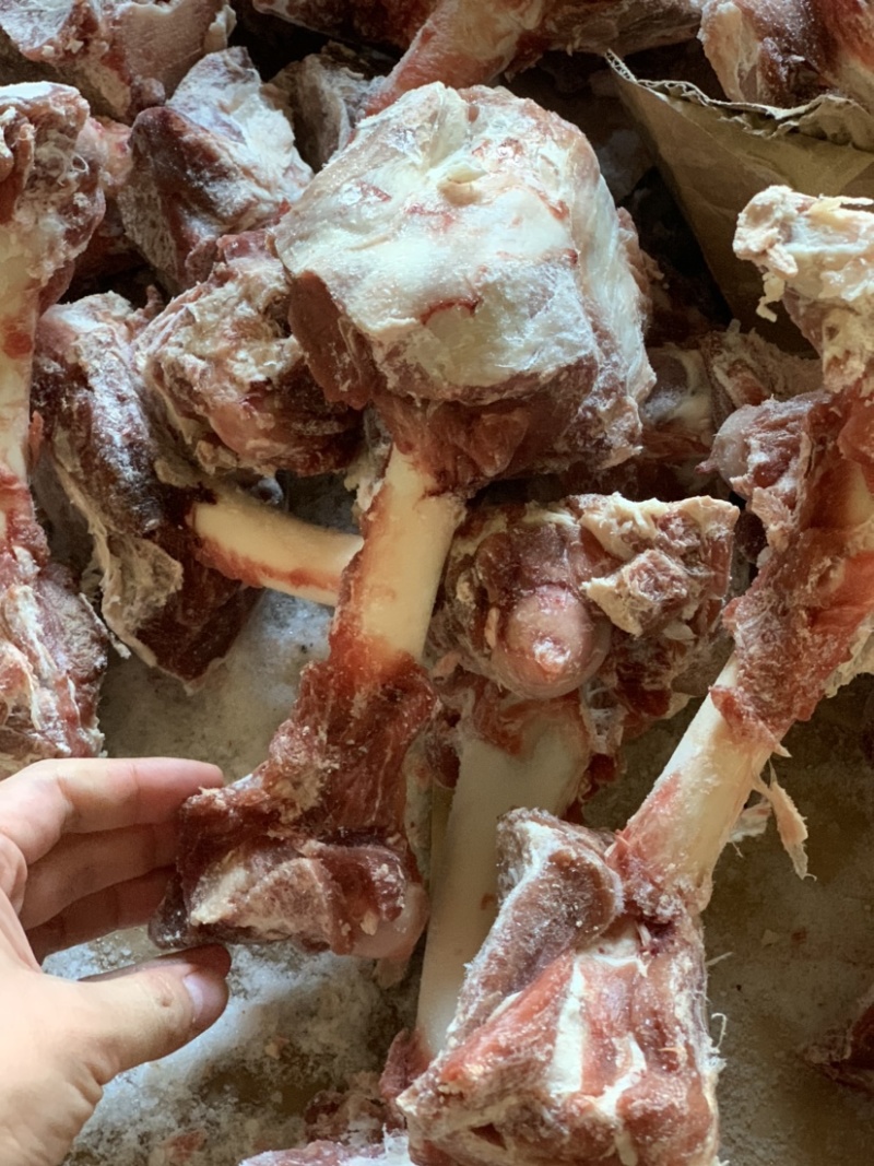 羔羊棒骨。接电商！团购！！！独立小包装，肉含量高。