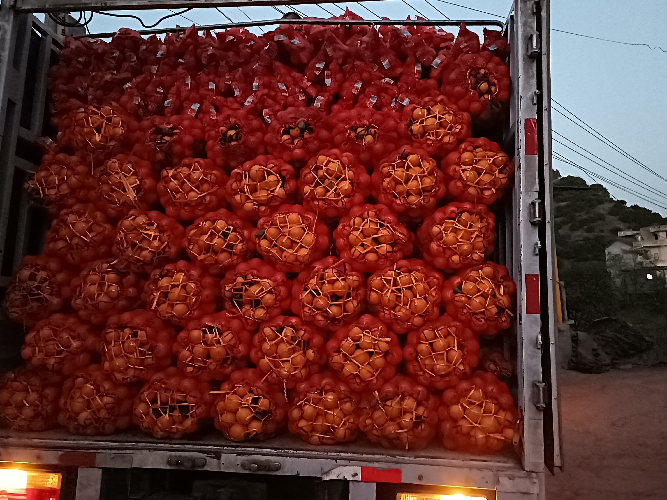 冰糖橙冷链运输