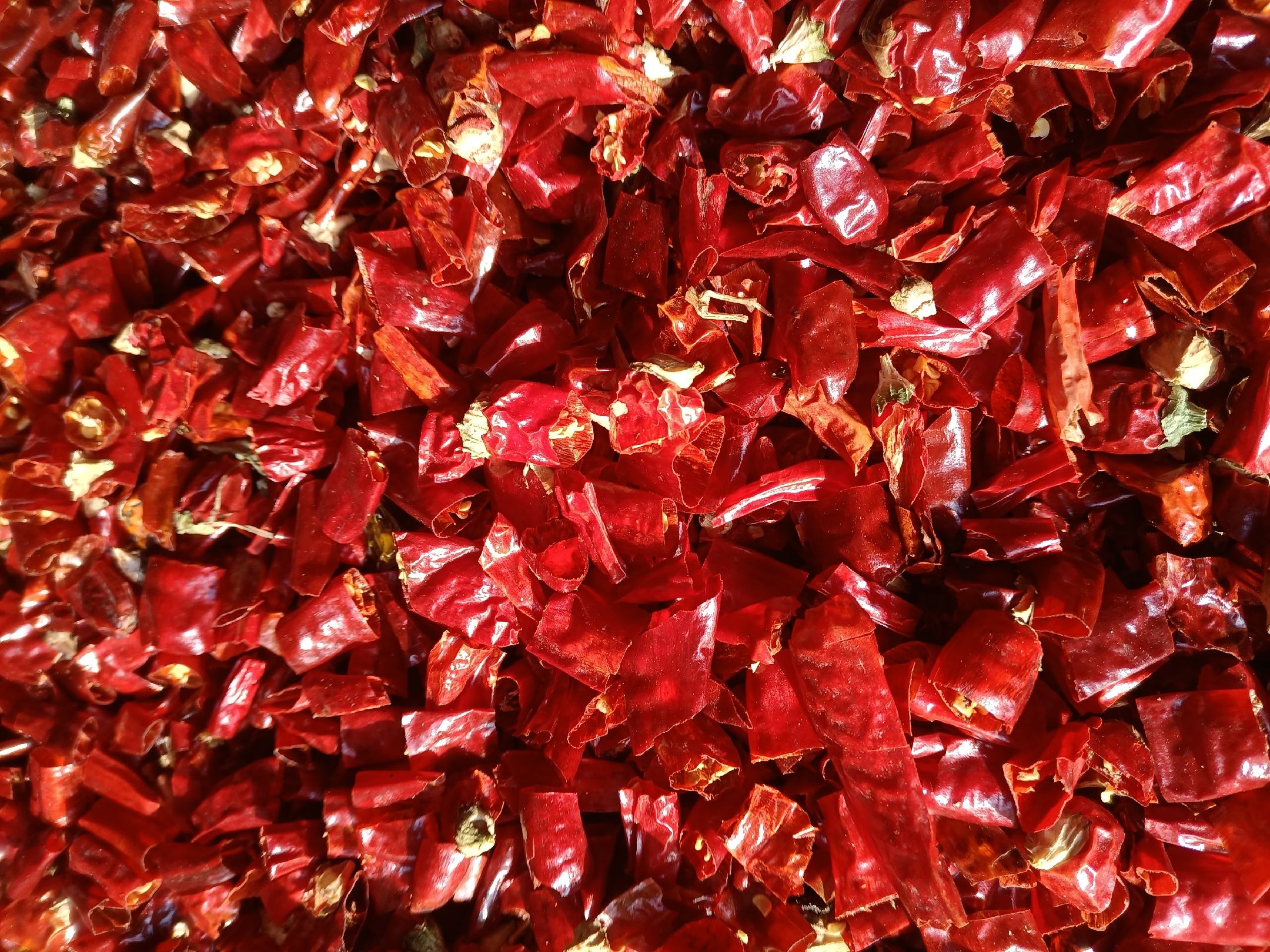 图示展示辣椒素对身体的多种影响,包括促进消化、刺激神经等 辣椒与人体健康关系图示