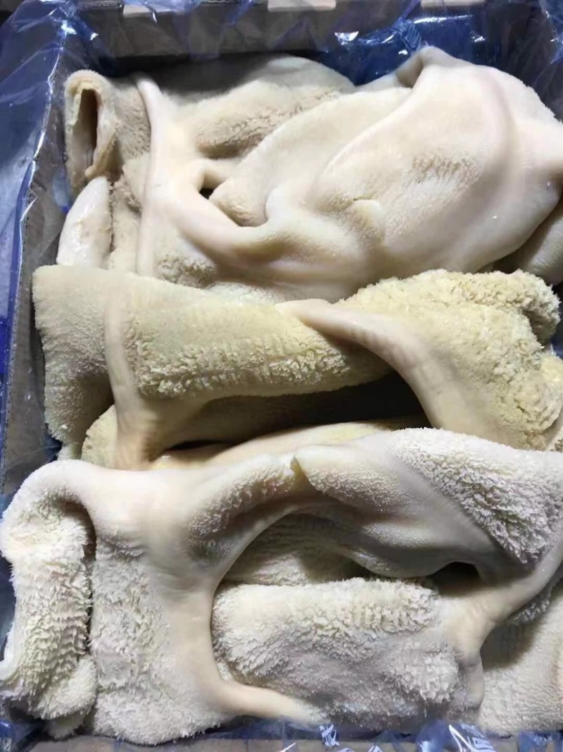 【包邮-40斤牛肚】批发40斤半成品金钱肚牛大肚