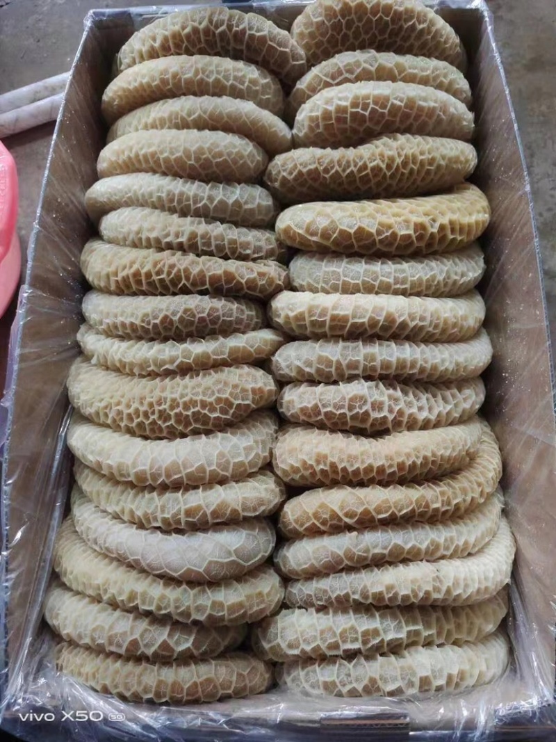 【包邮-40斤牛肚】批发40斤半成品金钱肚牛大肚