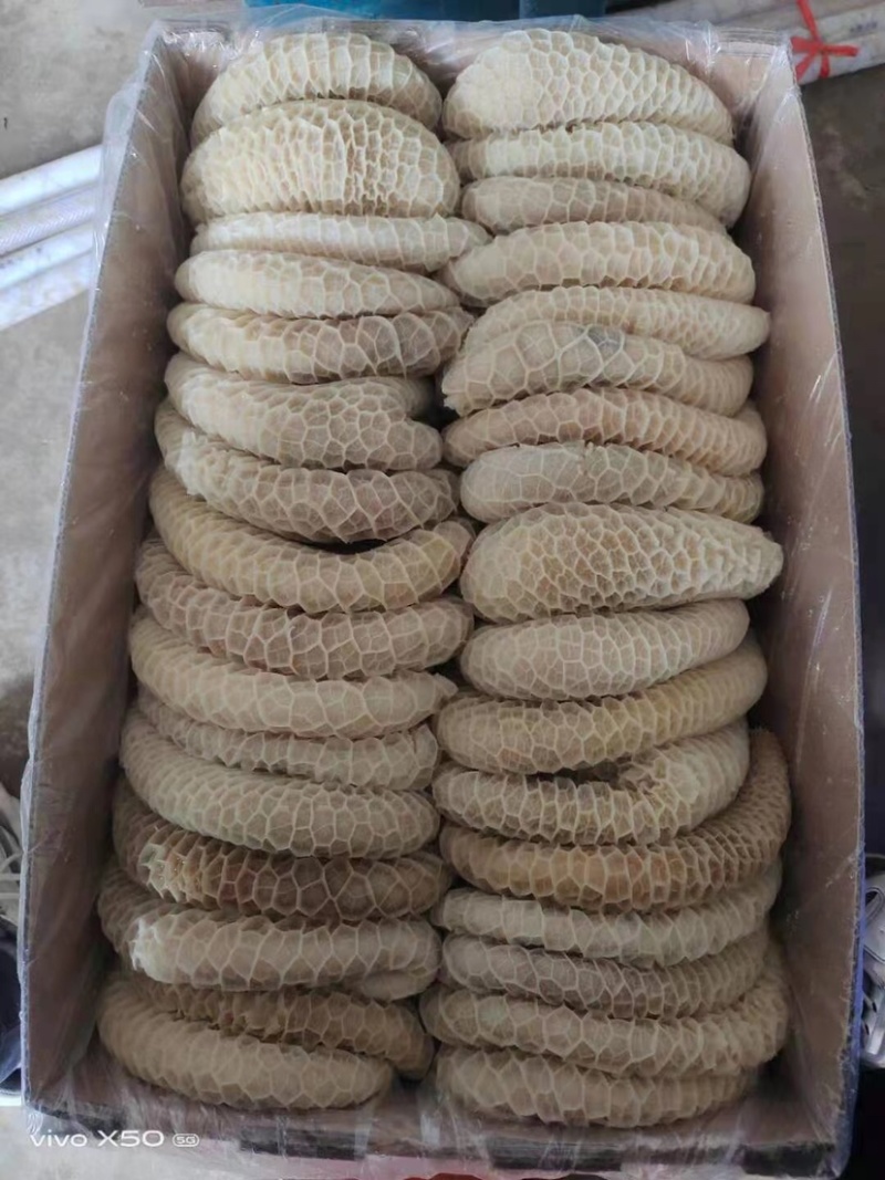 【包邮-40斤牛肚】批发40斤半成品金钱肚牛大肚