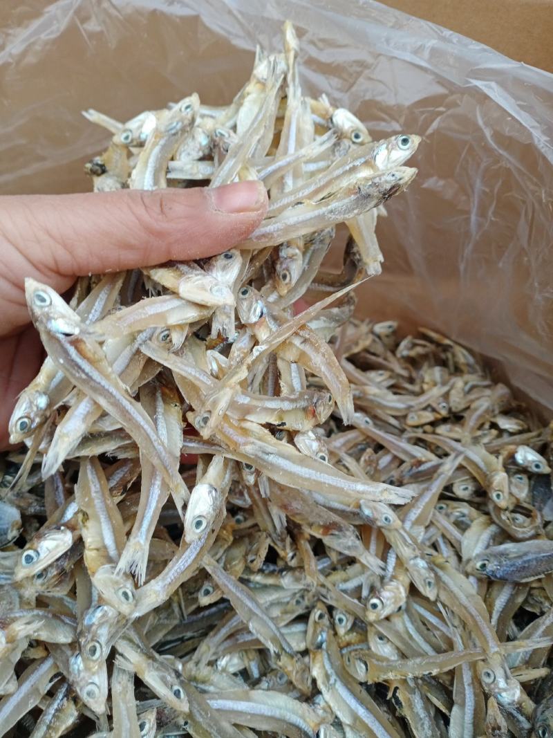 北海淡晒公干鱼，白矾鱼干，银鱼干，小鱼干