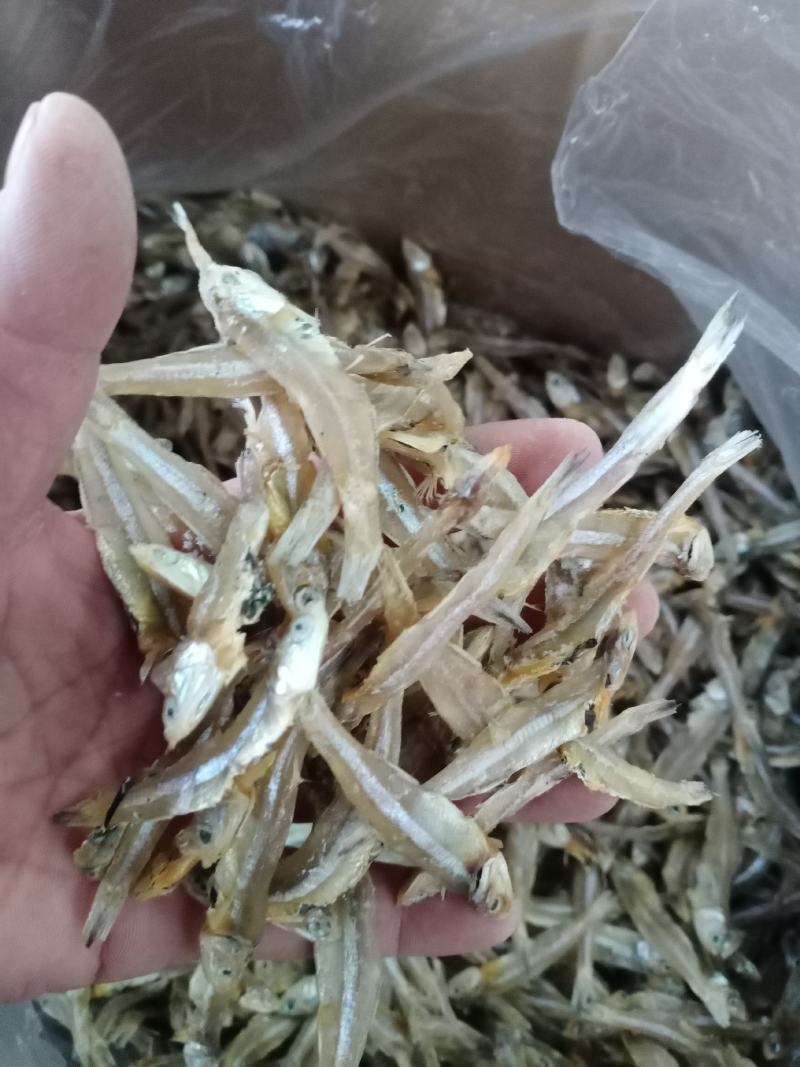 北海淡晒公干鱼，白矾鱼干，银鱼干，小鱼干