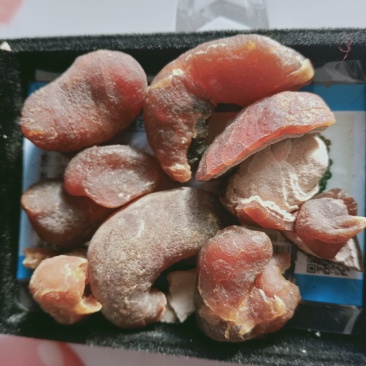 鸡宝