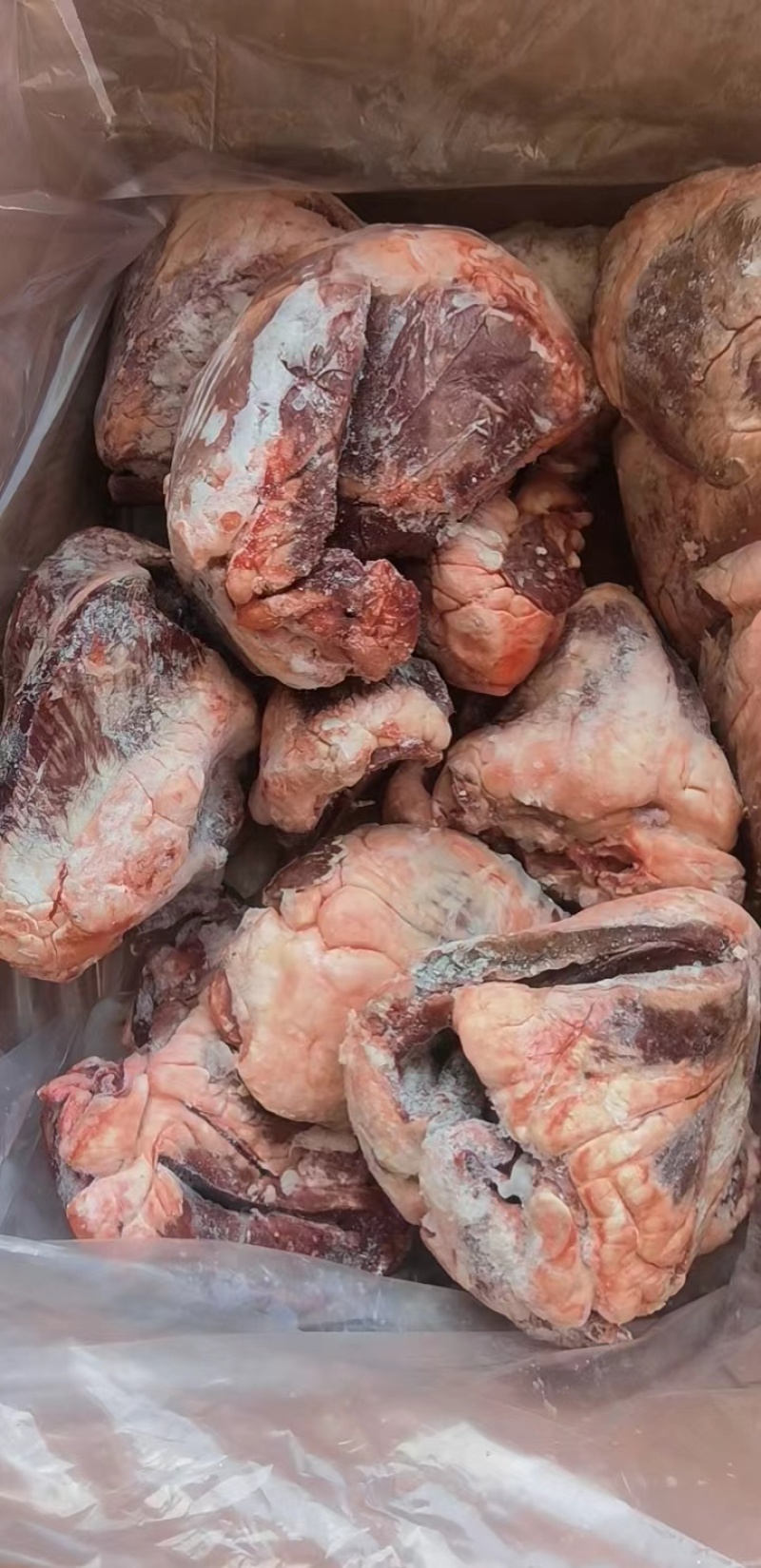 牛心新鲜牛心牛下水规格齐全全国发货厂家直发