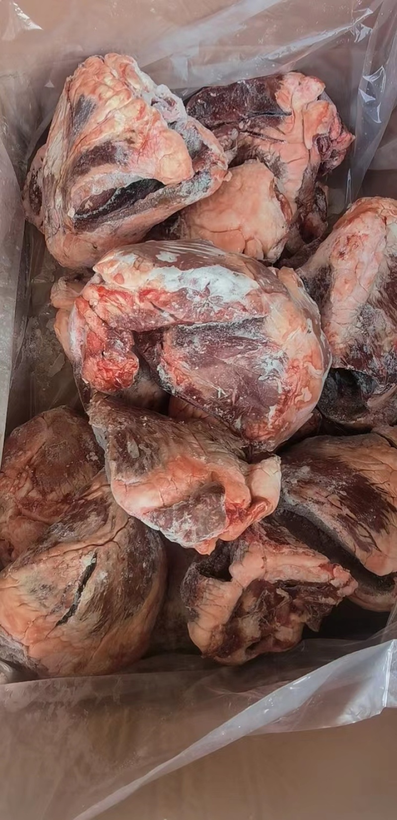 牛心新鲜牛心牛下水规格齐全全国发货厂家直发