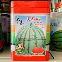 厂家直销西瓜种子大齐冰糖麒麟特8424西瓜种籽不易裂果