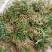 双叶石仙桃石橄榄双叶大果双叶中果山货量大从优