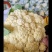 【产地发货】菜花有机花松花菜白面青梗散花