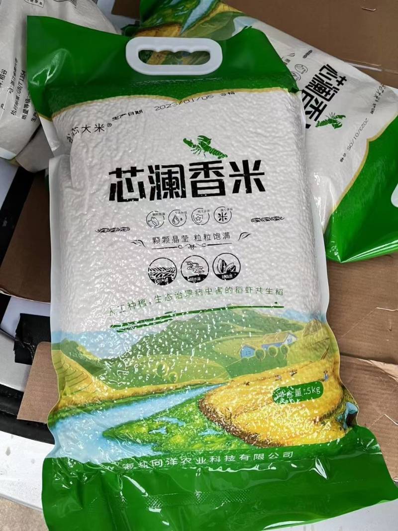 浙江优质大米基地直供一手货源品质保证诚信经营欢迎采购