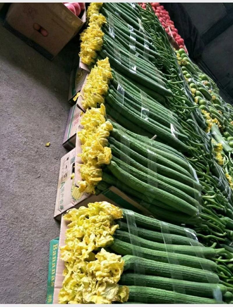 优质丝瓜，颜色鲜亮，翠绿，基地直供，量大从优，欢迎选购！