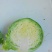 甘蓝品优，皮薄翠绿，口感脆甜，产地直销，欢迎光临！