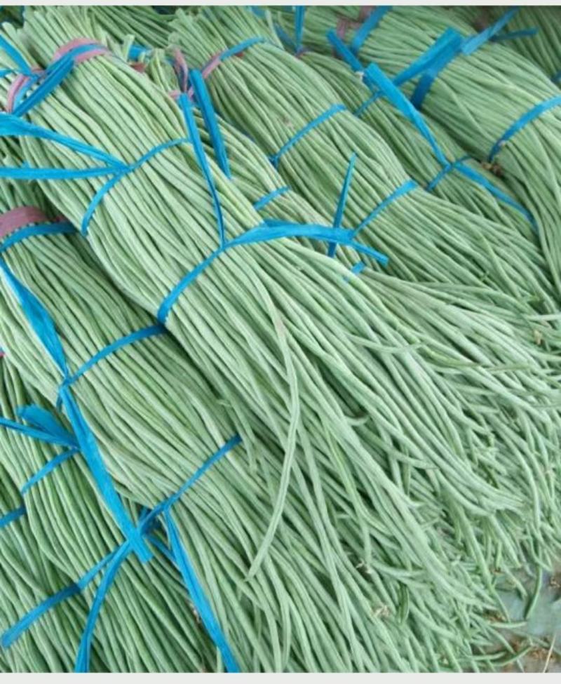 精品长豆角，颜色鲜亮翠绿，口感清脆，基地直供，量大从优！