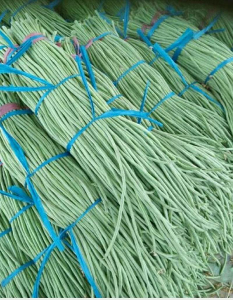 精品长豆角，颜色鲜亮翠绿，口感清脆，基地直供，量大从优！
