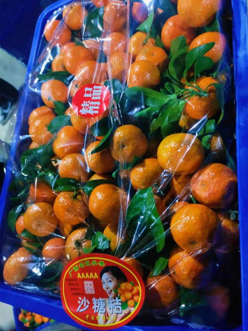 广西正宗沙糖桔，砂糖橘，现摘现发，纯甜无渣，质量保证！