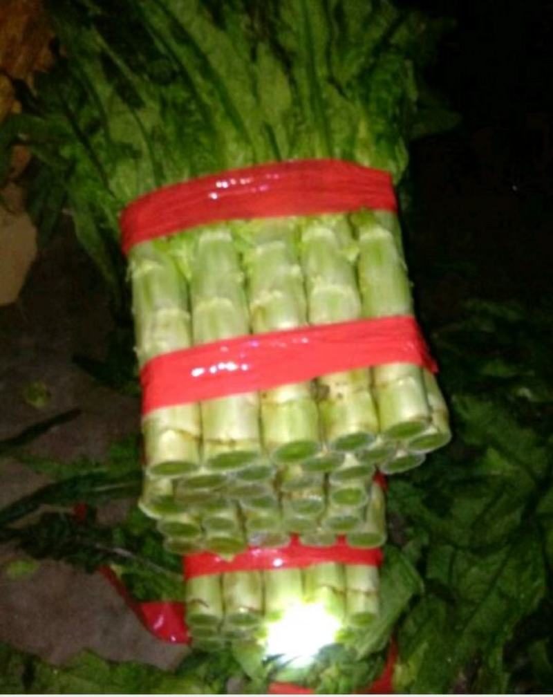 精品红叶莴苣，颜色鲜亮，翠绿细腻，清脆爽口，产地直供！
