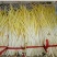 精品蒜黄，颜色金黄，产地直供，量大从优，客户至上，欢迎光