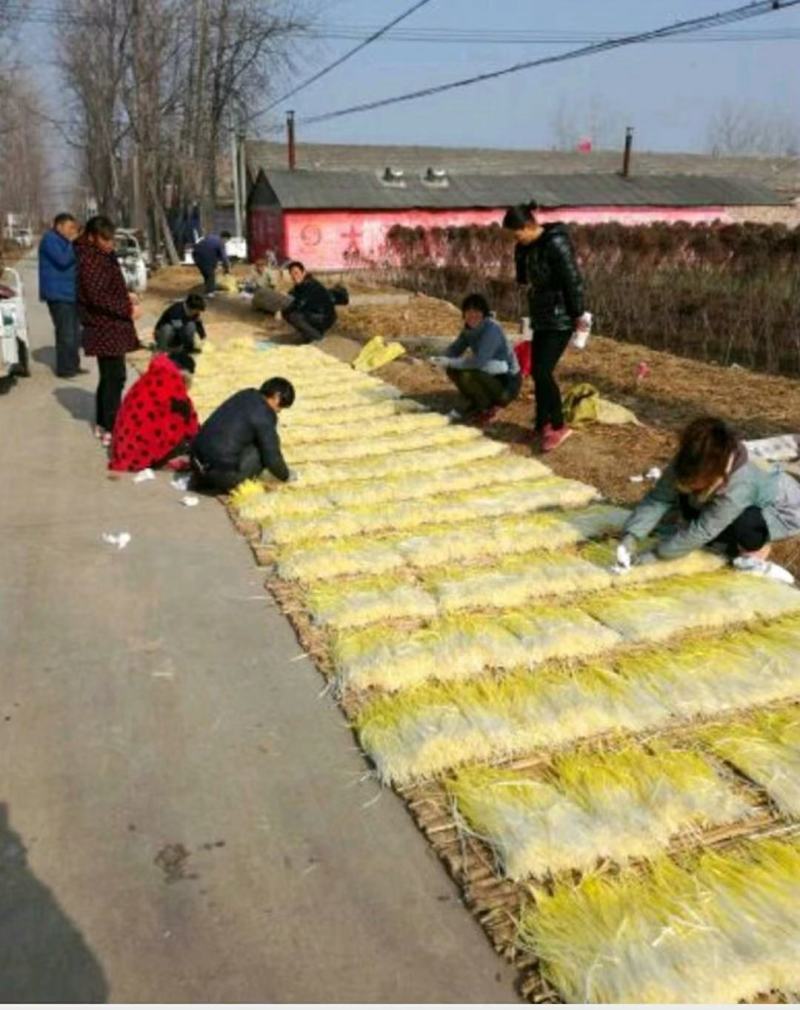 优质韭黄，色泽金黄，产地直供，量大从优，欢迎光临！