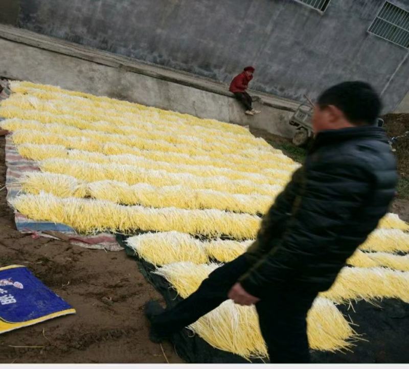 优质韭黄，色泽金黄，产地直供，量大从优，欢迎光临！