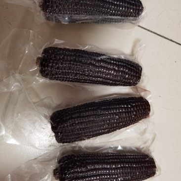 301品种的黑糯玉米，口感很好，需要的老板私信