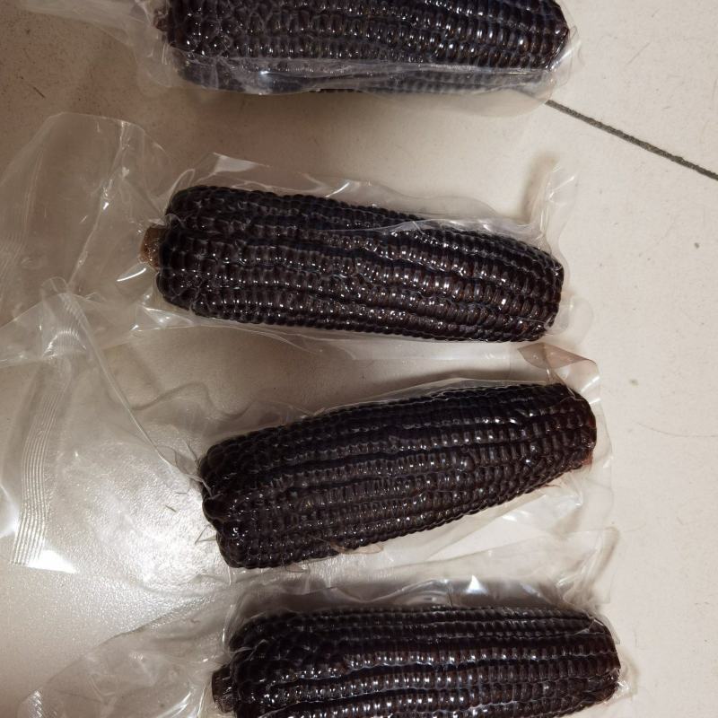 301品种的黑糯玉米，口感很好，需要的老板私信