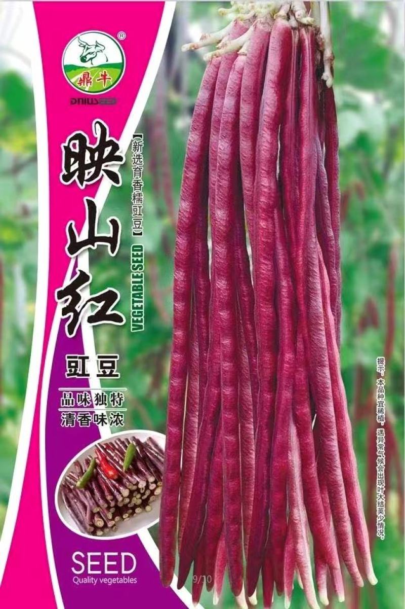 红豇豆种子映山红特色红豇豆品种紫红艳丽风味清香