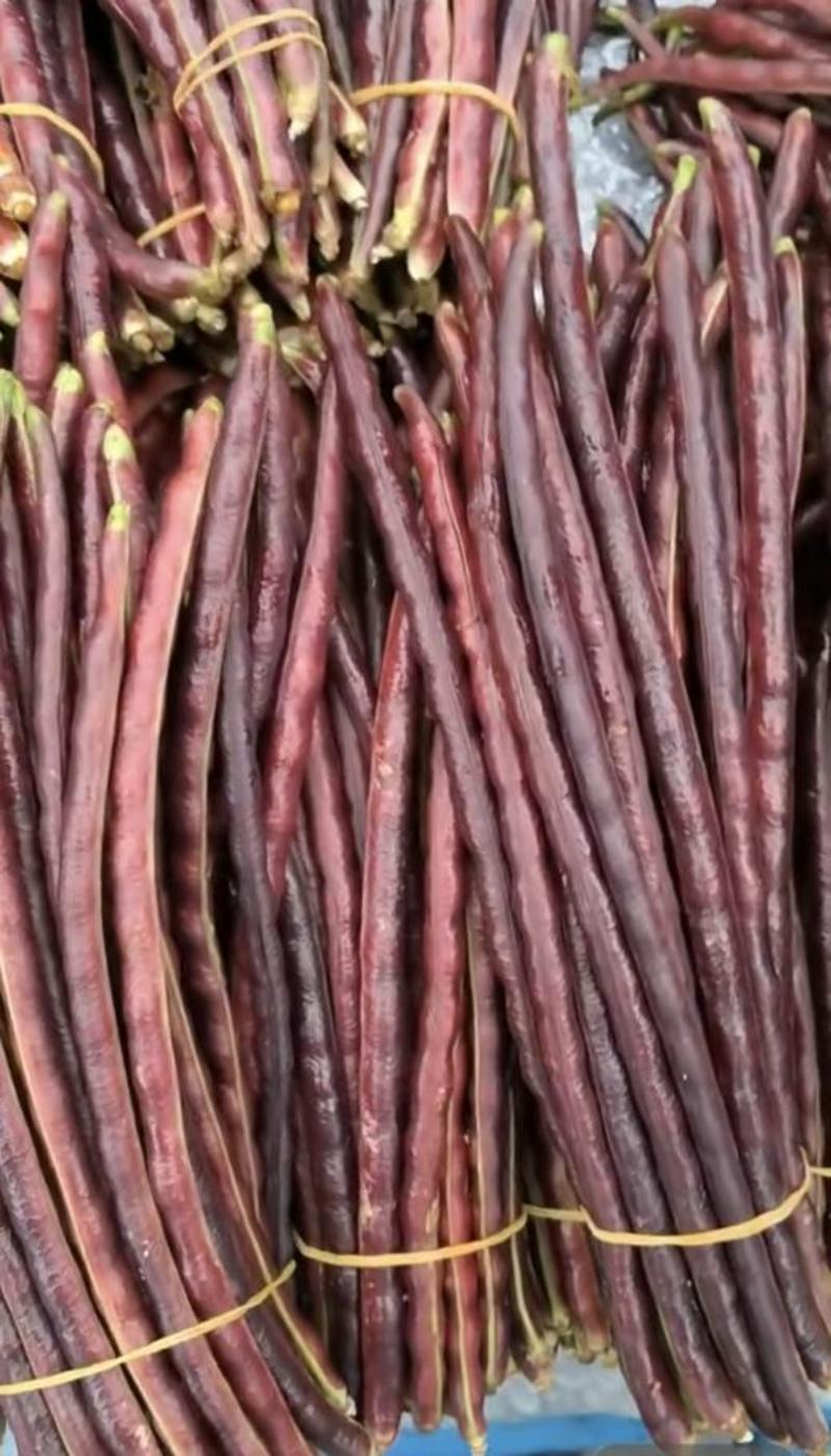 红豇豆种子映山红特色红豇豆品种紫红艳丽风味清香