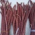 红豇豆种子映山红特色红豇豆品种紫红艳丽风味清香