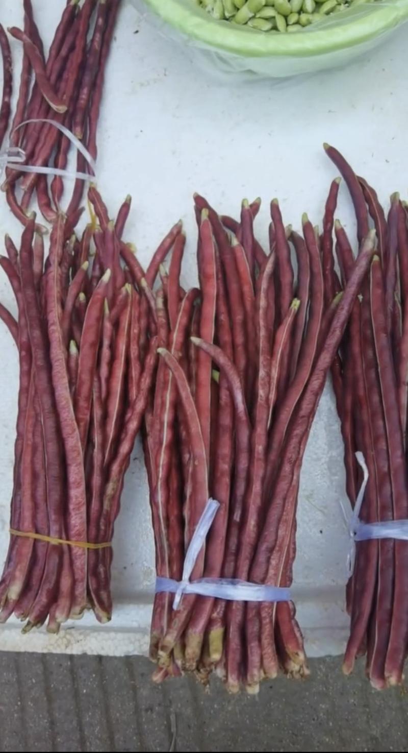 红豇豆种子映山红特色红豇豆品种紫红艳丽风味清香