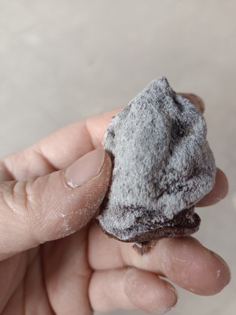 山西老树柿饼