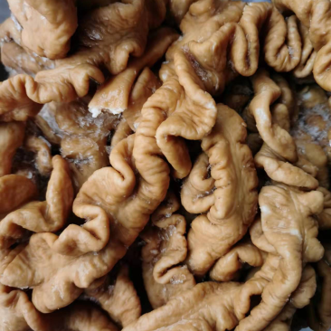卤肥肠熟食猪大肠卤猪肠熟肥肠全熟猪肠去油