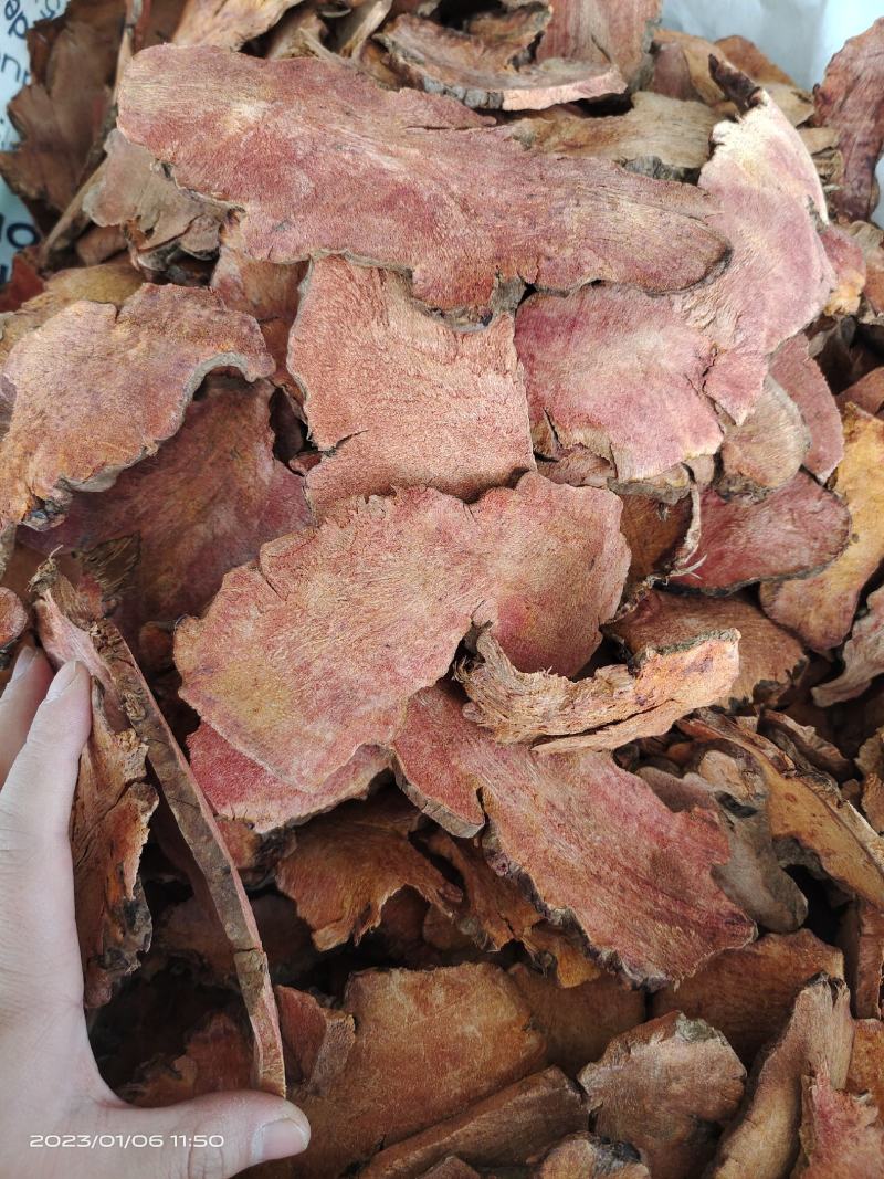 中药材土茯苓选货保证质量货源充足欢迎咨询