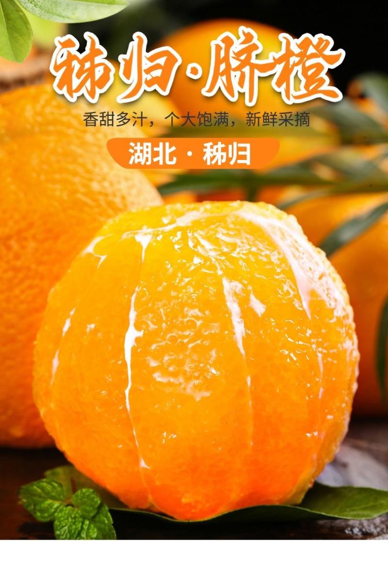 秭归脐橙湖北宜昌橙子新鲜水果当季榨汁橙纽荷尔