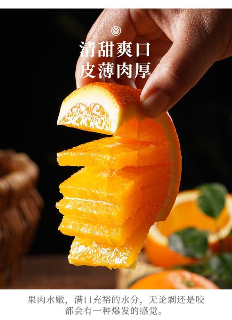 秭归脐橙湖北宜昌橙子新鲜水果当季榨汁橙纽荷尔