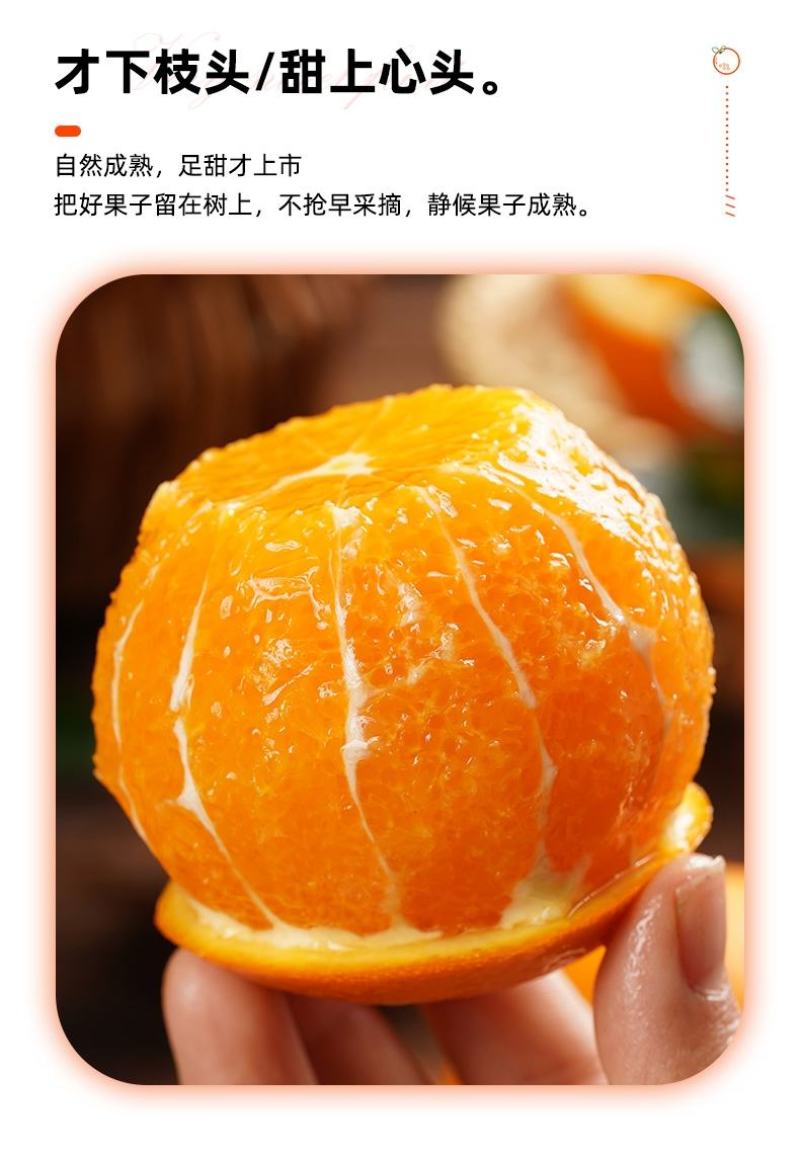 秭归脐橙湖北宜昌橙子新鲜水果当季榨汁橙纽荷尔